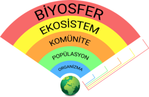 biyosfer